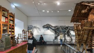 Übersee-Museum: Auf den Spuren Hunderter Ausstellungsstücke