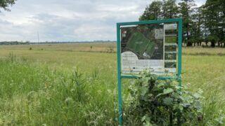 Spaziergang in Horn-Lehe: Die Weiten des Hollerlands