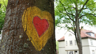 Stadtteilentwicklung: Ein Herz für die Neustadt – Interview mit der Stadtteilmanagerin