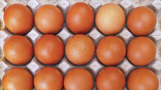 Hofläden in Bremen – einkaufen beim Erzeuger