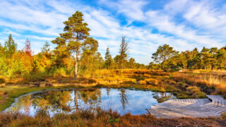 Wandern auf den Nordpfaden