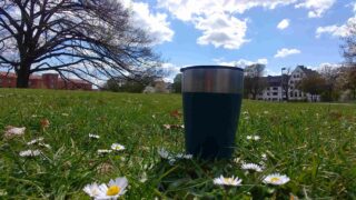 Coffee to go: Cafés in der Neustadt