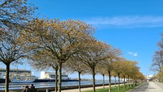 Spaziergang durch Vegesack – der maritime Mittelpunkt im Bremer Norden