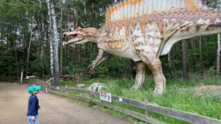 Ausflüge mit Kindern: Tipps in der Region Bremen und umzu