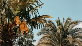Summersounds 2021: Drei Orte an drei Tagen