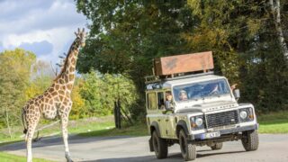 Ausflugstipps für Familien in Bremen: Wohin in den Herbstferien?
