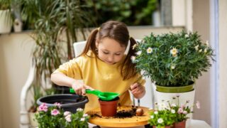 Pflanzen für den Balkon: Viel Grün auf kleinem Raum