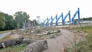 Insektenschaugarten bietet einen urbanen Rückzugsort