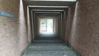 Das letzte Geleit für Verstorbene ohne Angehörige