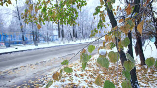 Laub harken, Schnee schippen, bei Eis streuen: Was muss ich in Herbst und Winter beachten?