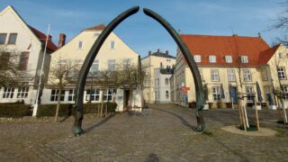 Stadtteilentwicklung: Vegesacker Zentrum bekommt neue Highlights