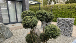 Die Beseitigung von Schottergärten in Bremen