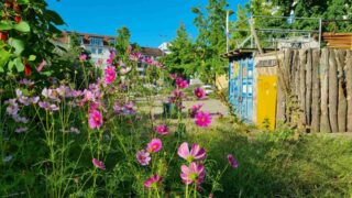 Stadtgarten auf dem Lucie-Flechtmann-Platz feiert Geburtstag