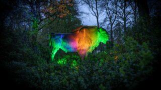 „LightUp!“ feiert mit Licht, Kunst und Magie Premiere