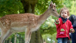 Endlich Osterferien! Tipps und Ausflüge für die ganze Familie