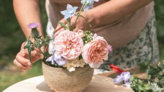 Ein kleiner wilder Garten