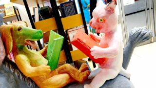 Die Bibliothek in der Wilhelm-Olbers-Oberschule
