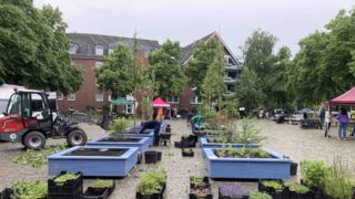 Biodiverse Cities: Mehr Grün für Bremen