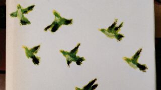 Ein Bild mit Vögeln die fliegen